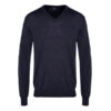 Men's V-Neck Pullover